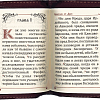 Святое Евангелие (карманное, подарочное. на русском языке, кожа, на молнии, золотой обрез)
