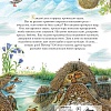 Чудеса природы. 50 историй в картинках для детей