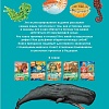 Подводный Мир. Более 50 морских обитателей. Детская энциклопедия