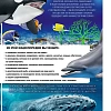 Подводный Мир. Энциклопедия для детей