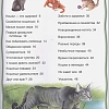 Кошки и котята. Энциклопедия для детей