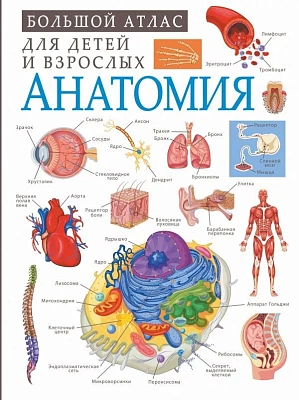 Анатомия: Большой атлас для детей и взрослых