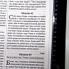 Библия на русском языке. Крупный шрифт. Большой формат